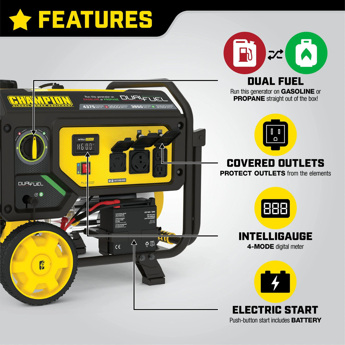 3500-Watt Dual Fuel Portable Generator with Electric Start U86737