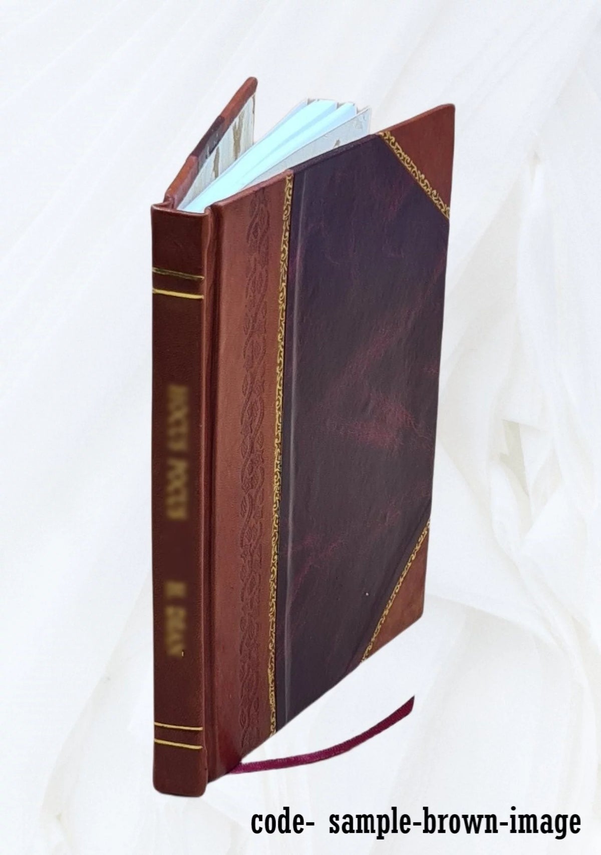 Domestic Architecture in Australia Leather Bound B264