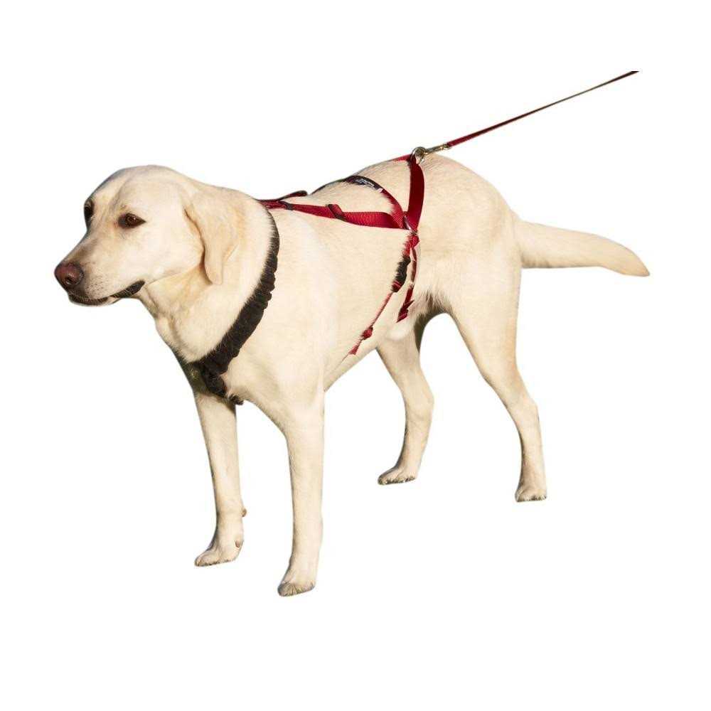 Pet Harness M968