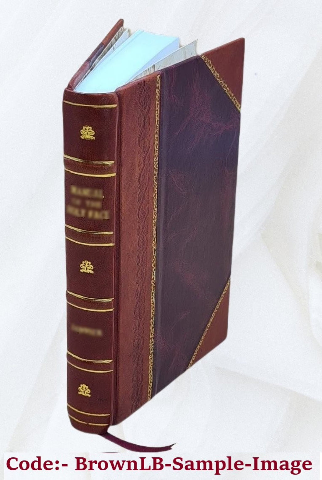 Proceedings of the Board of commissioners of the Washington Park of the city of Albany, from May 8th, 1869, to January 1st, 1876. Volume 1876/78 1884 S405