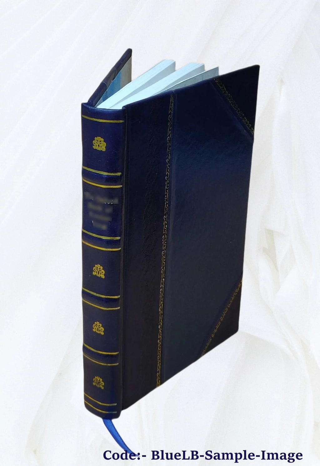 Domestic Architecture in England Leather Bound R545