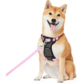 Padded Nylon No Pull Dog Harness R270124
