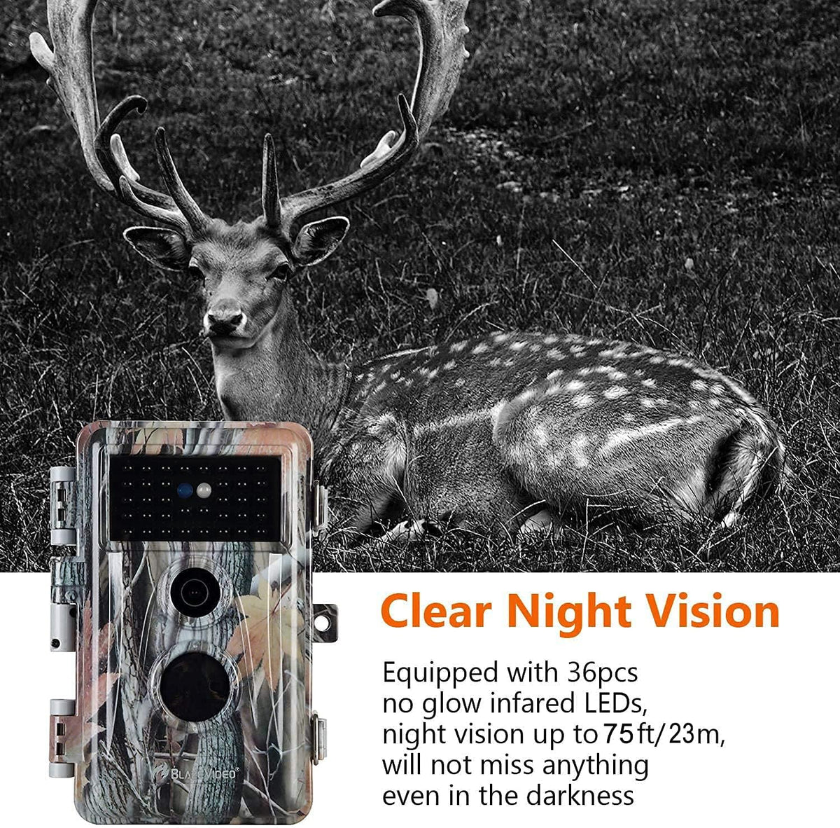 2-Pack Night Vision Trail Cameras 24MP 1296P H.264 MP4 Video No Glow IP66 Waterproof Motion Activated J6517