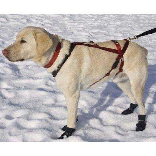 Pet Harness M968