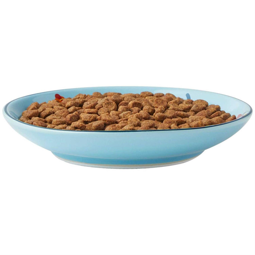 Non-skid Ceramic Cat Dish V6940