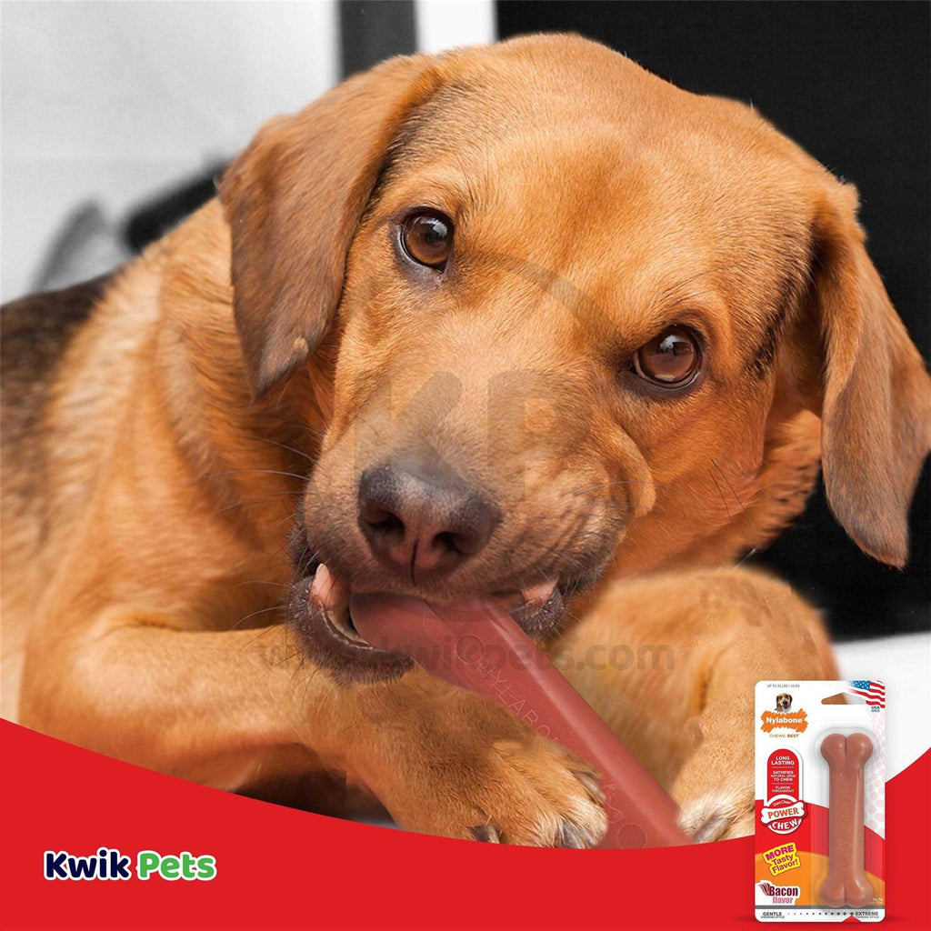 Bacon Chew Bone F443391