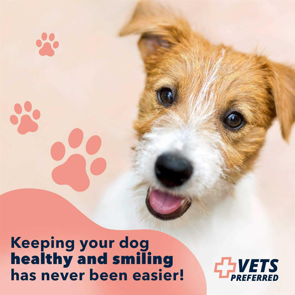 Advanced Oral Care Water Additive for Dogs R592