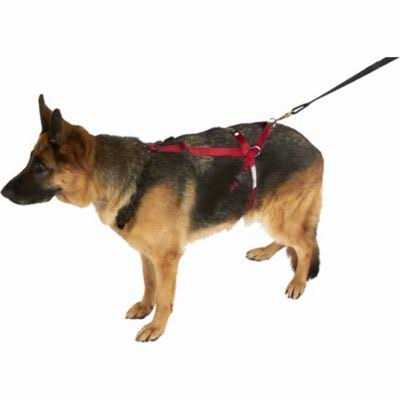 Pet Harness M968