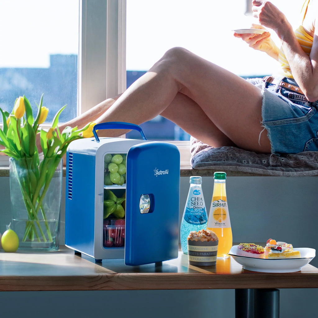 4L 6 Can Portable Electric Cooler Mini Fridge V34941