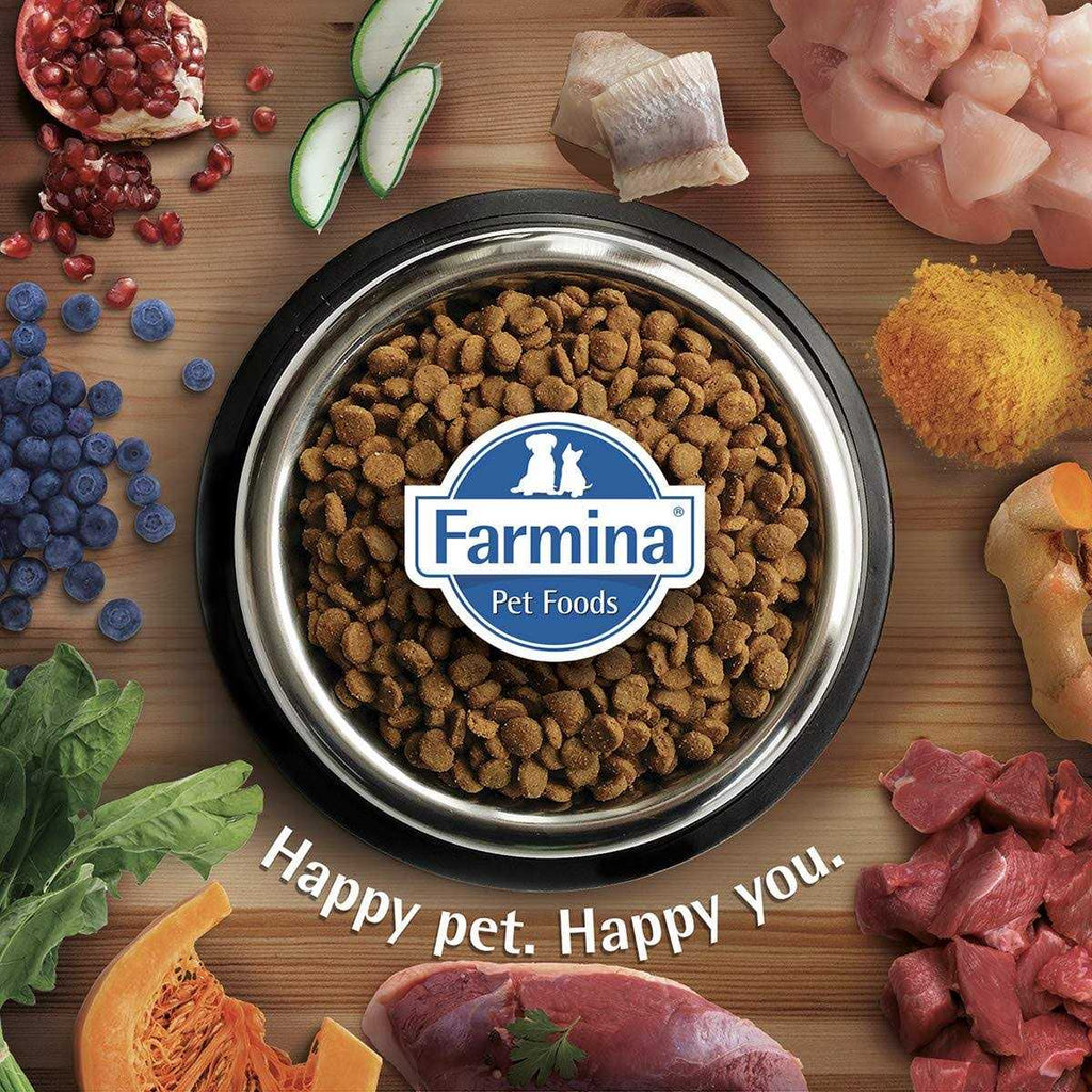 Chicken & Pomegranate Dry Dog Food E357225