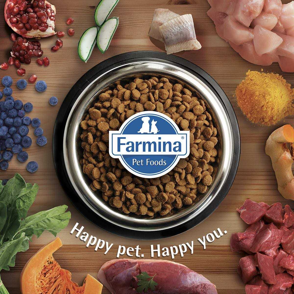 Chicken & Pomegranate Dry Dog Food E357225