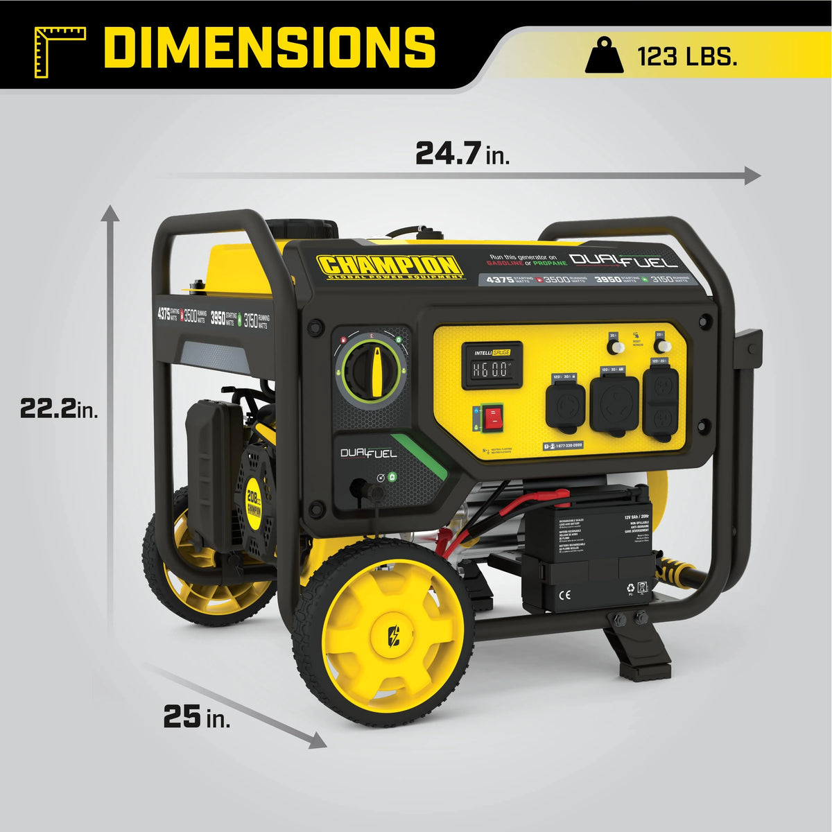 3500-Watt Dual Fuel Portable Generator with Electric Start U86737