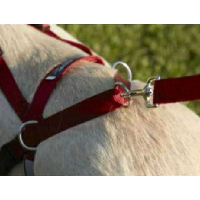 Pet Harness M968