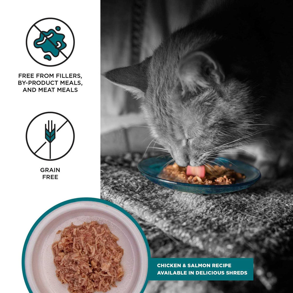 Tuna Recipe Cat Food X200815