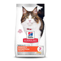 Adult Cat Dry Food Salmon W2129