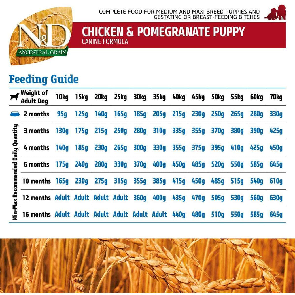 Chicken & Pomegranate Dry Dog Food E357225