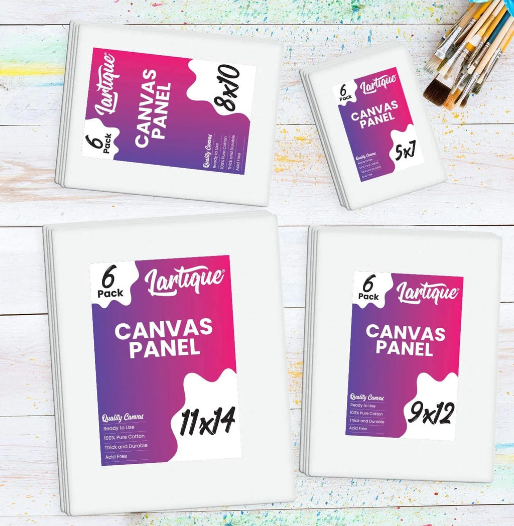 24 Acrylic Paint Set with Canvas Boards O78018