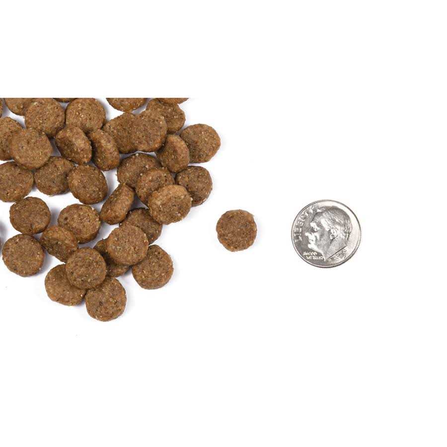 Adult Dog Food B556935