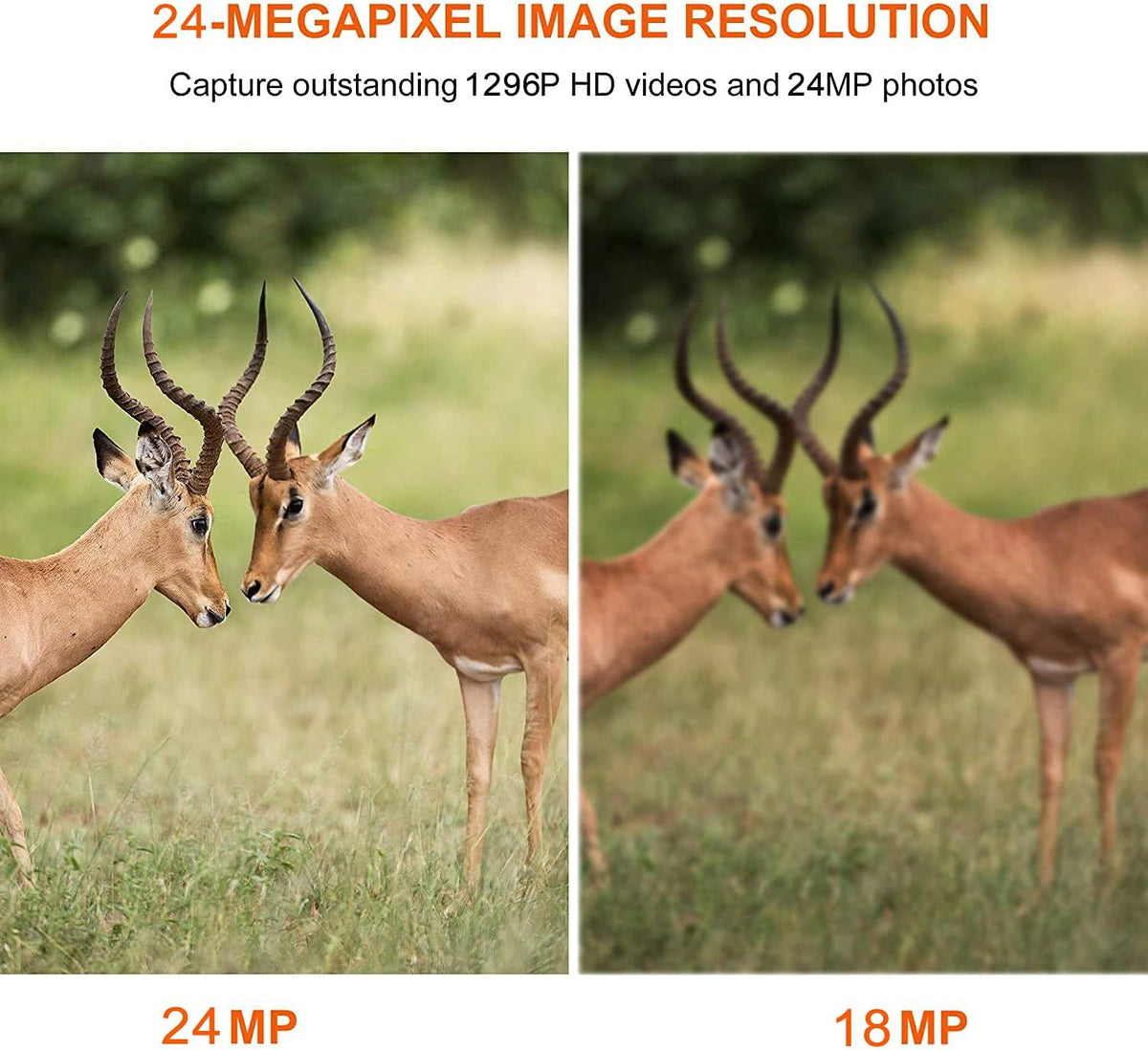 2-Pack Night Vision Trail Cameras 24MP 1296P H.264 MP4 Video No Glow IP66 Waterproof Motion Activated J6517