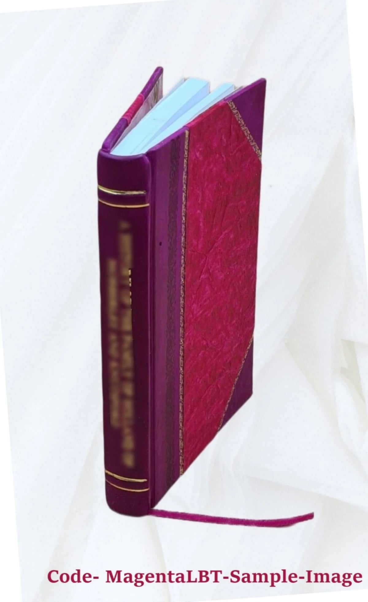 Domestic Architecture in Australia Leather Bound B264