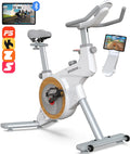Indoor Cycling Bike Belt Drive Magnetic Stationary Exercise Bike 350lb K464180