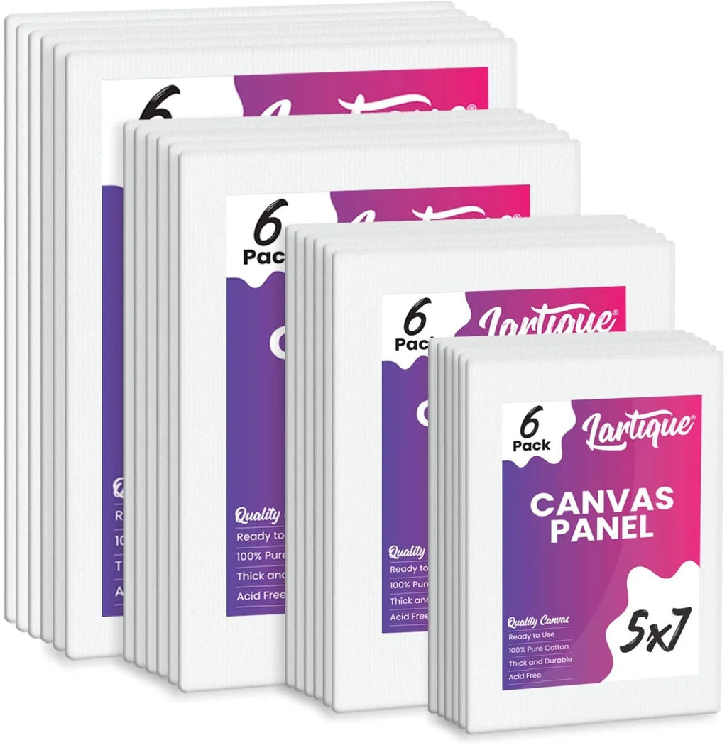 24 Acrylic Paint Set with Canvas Boards O78018