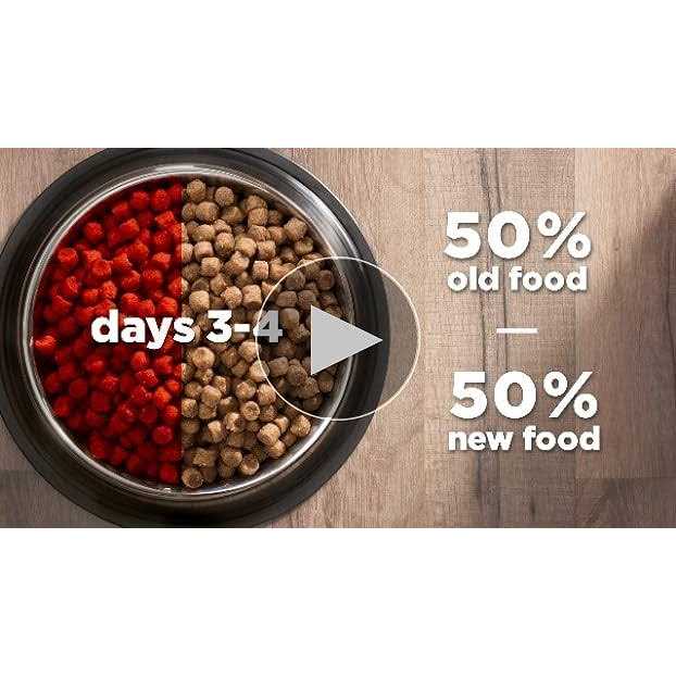 Adult Cat Dry Food Salmon W2129