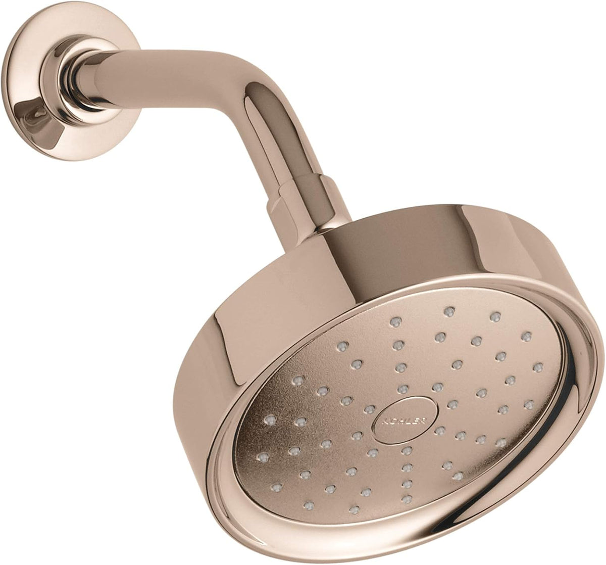 Vibrant Titanium Showerhead J4613