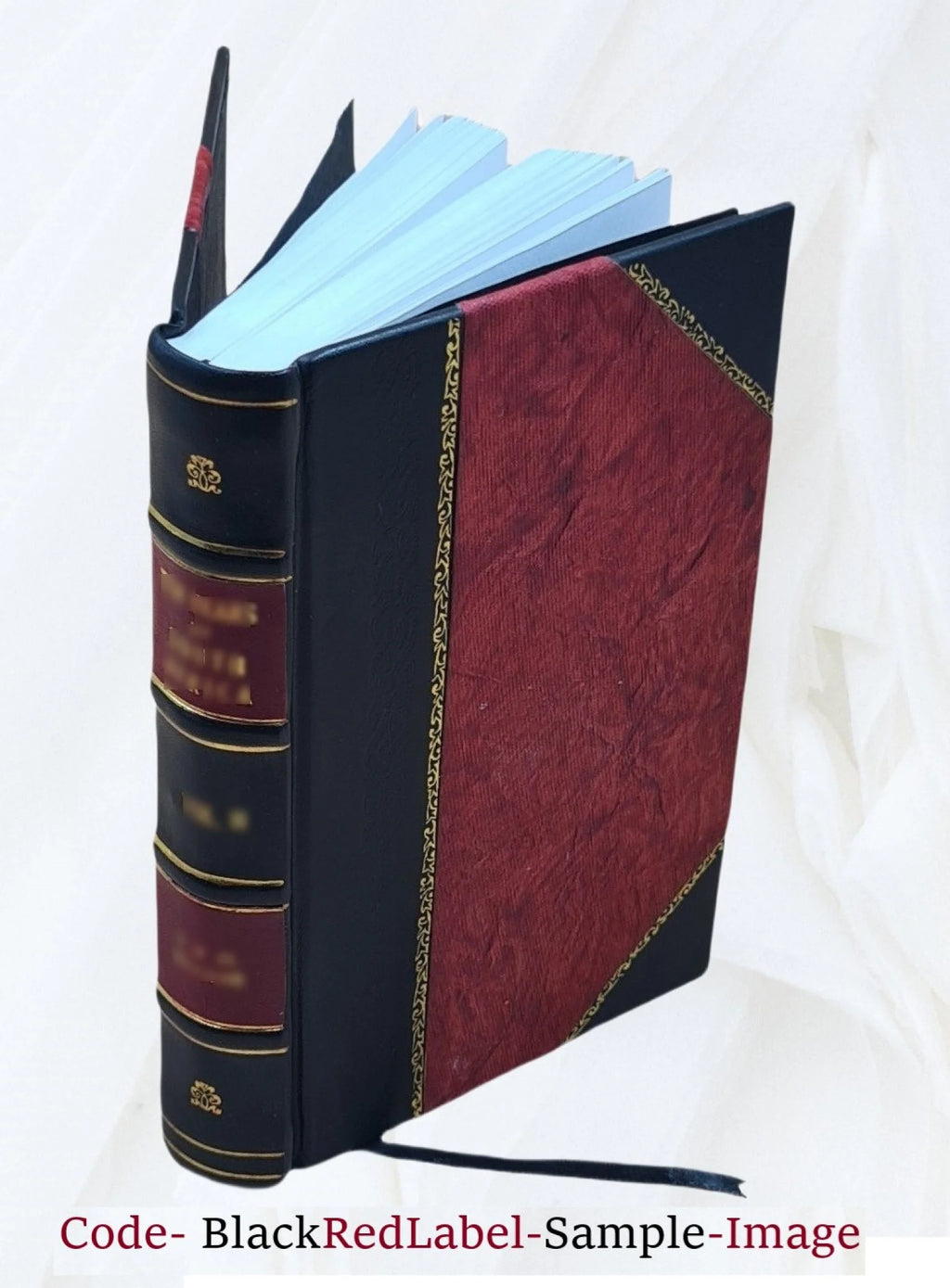 Proceedings of the Board of commissioners of the Washington Park of the city of Albany, from May 8th, 1869, to January 1st, 1876. Volume 1876/78 1884 S405