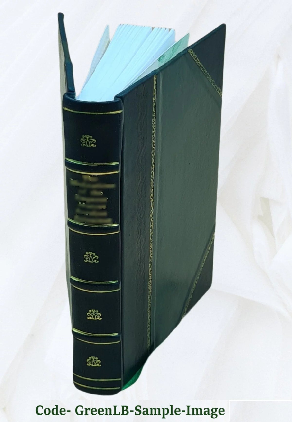 Domestic Architecture in England Leather Bound R545