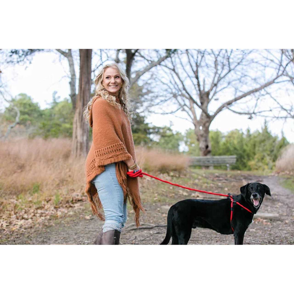 Dog Harness R21529